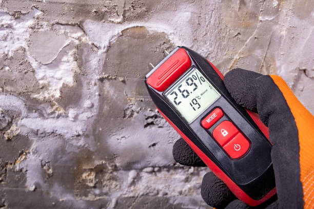Best Crawl Space Mold Removal  in Hernando, MS