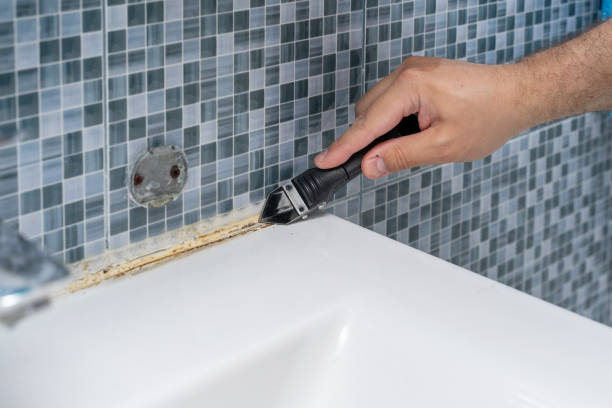 Best Home Mold Removal  in Hernando, MS