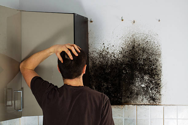 Crawl Space Mold Removal in Hernando, MS